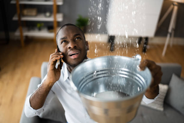 Best Water damage restoration near me  in Lake City, PA