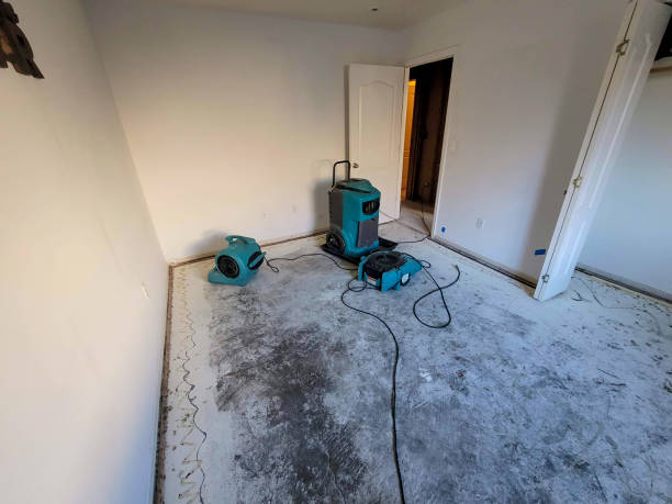 Best Fire Damage Restoration  in Lake City, PA