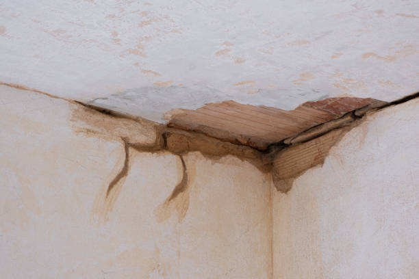 Best Water damage restoration near me  in Lake City, PA