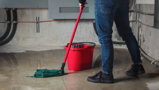 Best Water damage restoration company  in Lake City, PA