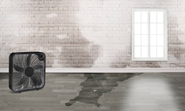 Best Ceiling water damage repair  in Lake City, PA