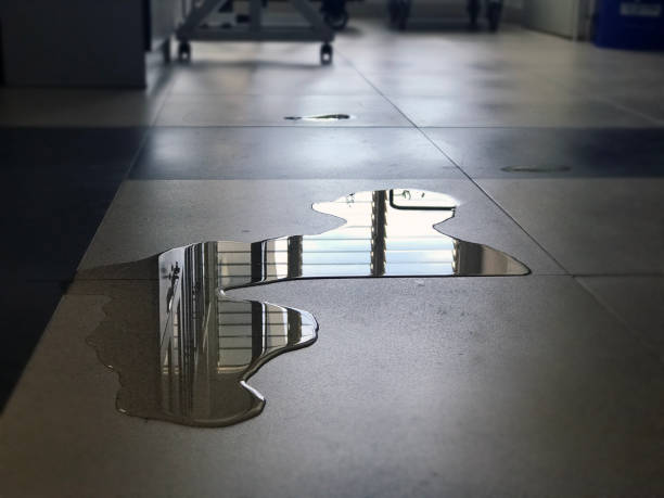 Best Water damage contractors near me  in Lake City, PA