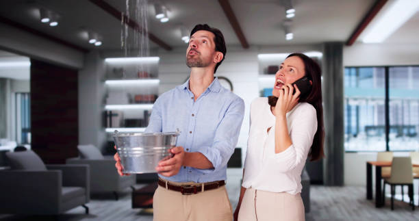 Best Commercial water damage restoration  in Lake City, PA
