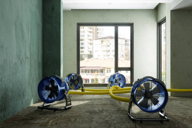 Best Water damage restoration mold remediation  in Lake City, PA